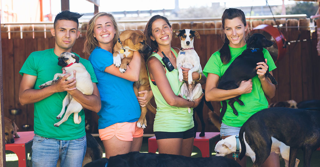Own a Camp Run-A-Mutt Franchise