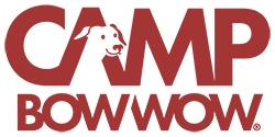 Camp Bow Wow